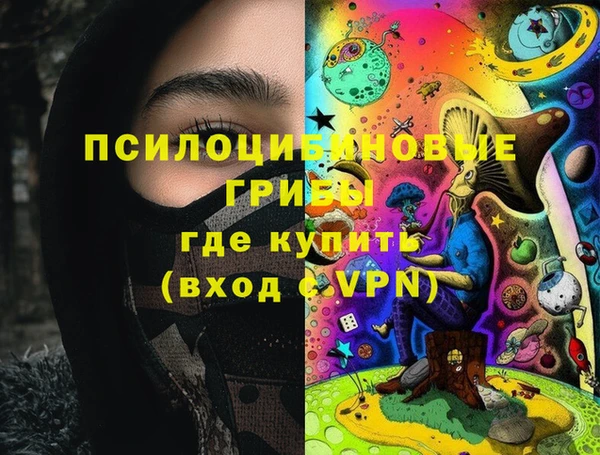 мдпв Пересвет