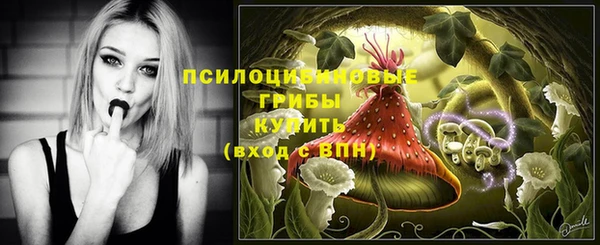 экстази Алексеевка