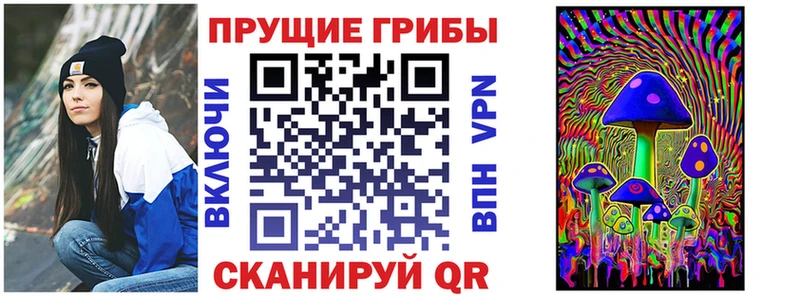 где купить   Рошаль  Псилоцибиновые грибы мицелий 